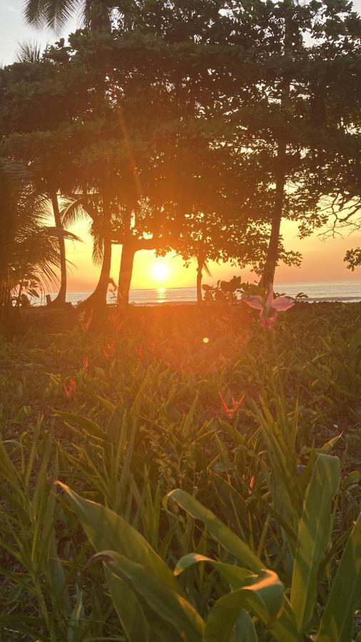 Popochos Beach Eco Lodge Нуки Экстерьер фото