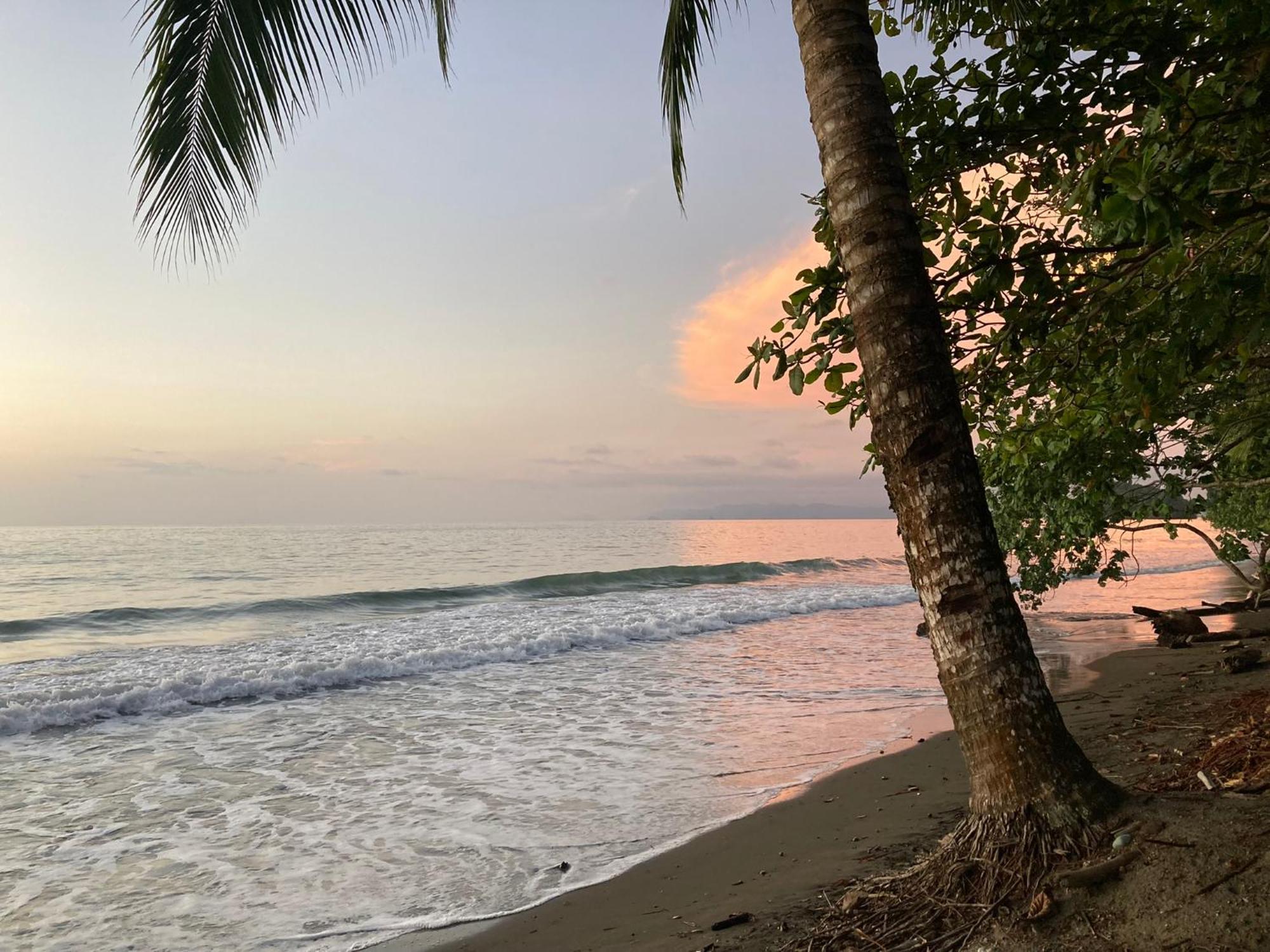 Popochos Beach Eco Lodge Нуки Экстерьер фото